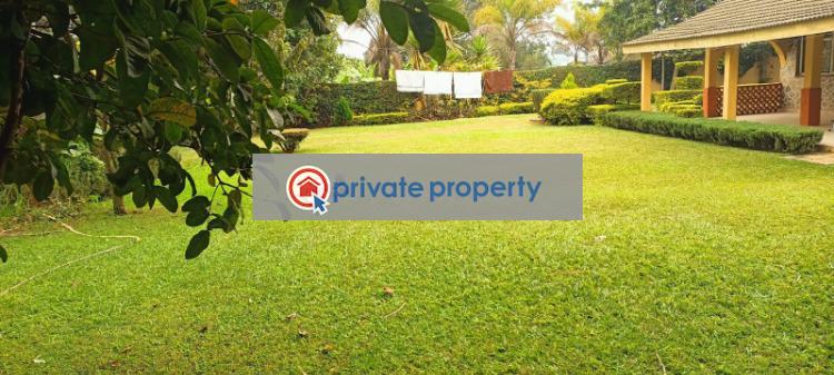 4 bedroom House For Sale &nbsp;old Muthaiga Muthaiga Nairobi - 3