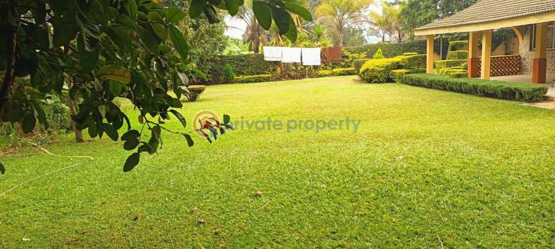 4 bedroom House For Sale Old Muthaiga Nairobi - 8