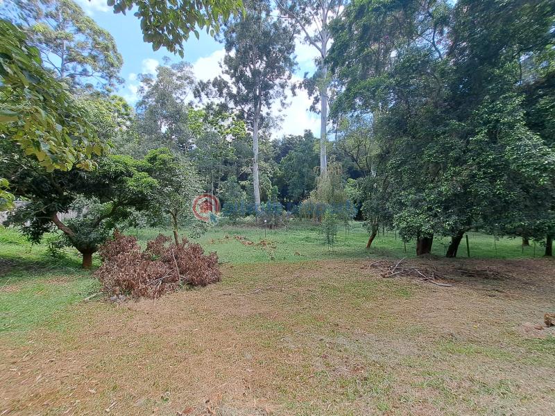 4 bedroom House For Sale Old Muthaiga Nairobi - 6