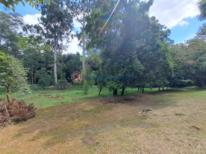 4 bedroom House For Sale Old Muthaiga Nairobi - 1