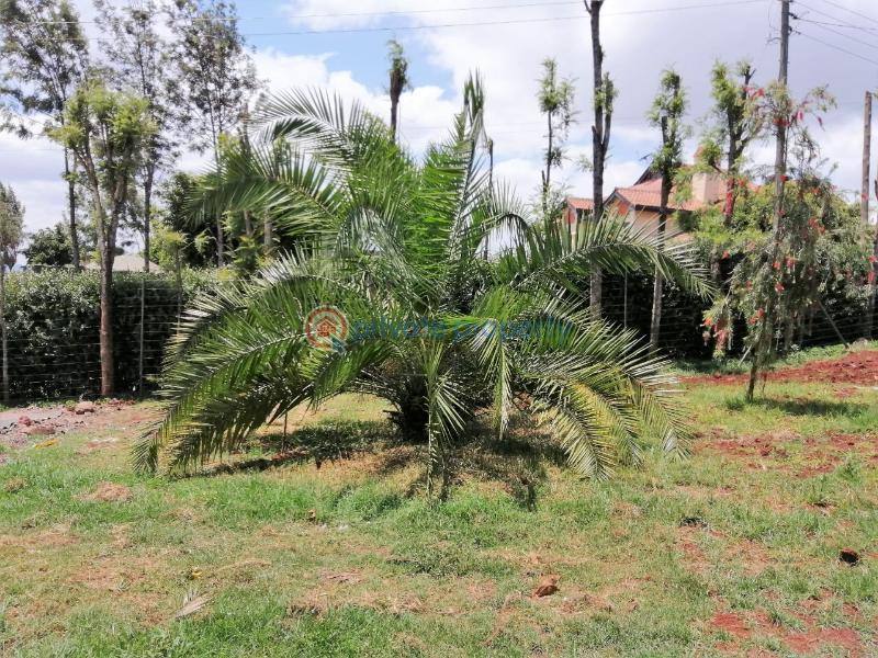 4 bedroom House For Sale Less Than A Kilometer From The Tarmac Road Ngong Kajiado - 12