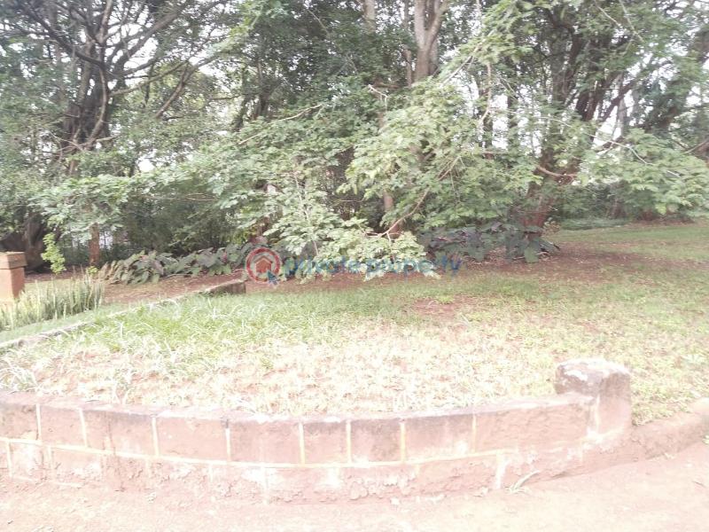 4 bedroom House For Sale Old Muthaiga Nairobi - 4
