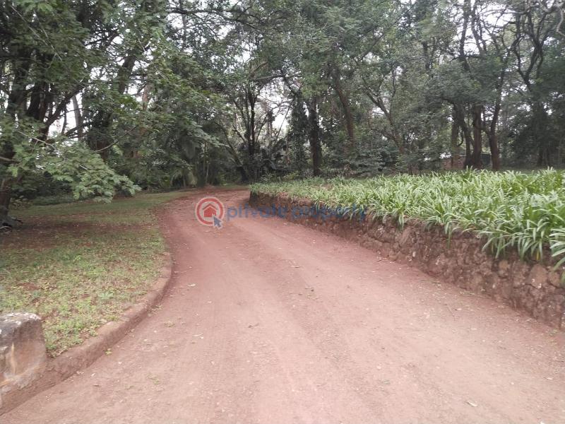 4 bedroom House For Sale Old Muthaiga Nairobi - 10