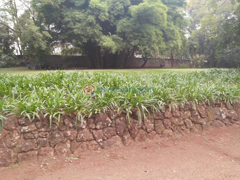 4 bedroom House For Sale Old Muthaiga Nairobi - 2