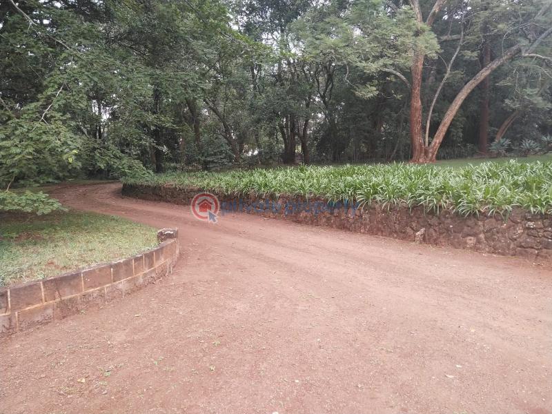 4 bedroom House For Sale Old Muthaiga Nairobi - 9
