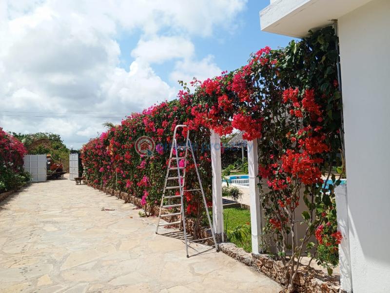 4 bedroom House For Sale Marine Road. Malindi Town Kilifi - 1