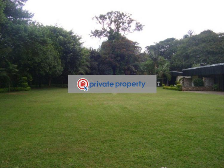 Office Space For Rent &nbsp;muthaiga Road Old Muthaiga Nairobi - 13