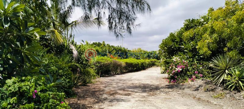 4 bedroom House For Sale Ocean Front Watamu Kilifi - 24