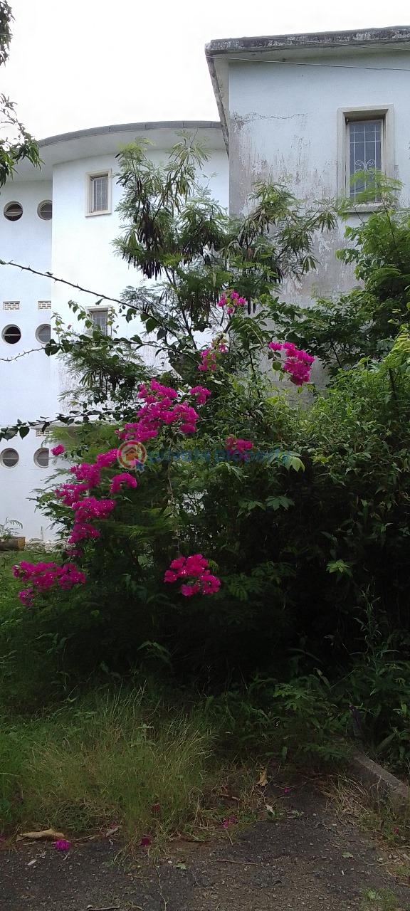 4 bedroom House For Sale Nyali Mombasa  - 10