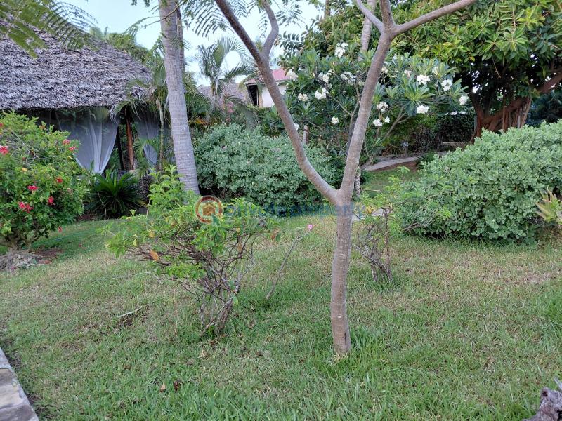 4 bedroom House For Sale Watamu Ocean Front Ocean Front Watamu Kilifi - 25
