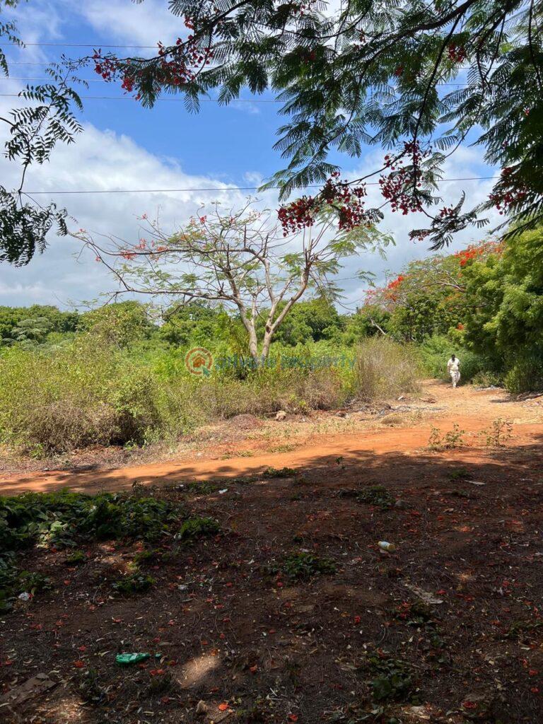 Land For Sale Vipingo Beach. Mtwapa Kilifi - 0