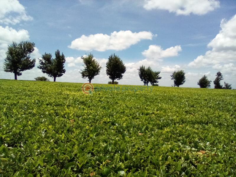 Land For Sale Off Kiambu Rd Cianda Kiambu - 13