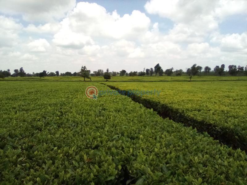 Land For Sale Off Kiambu Rd Cianda Kiambu - 7