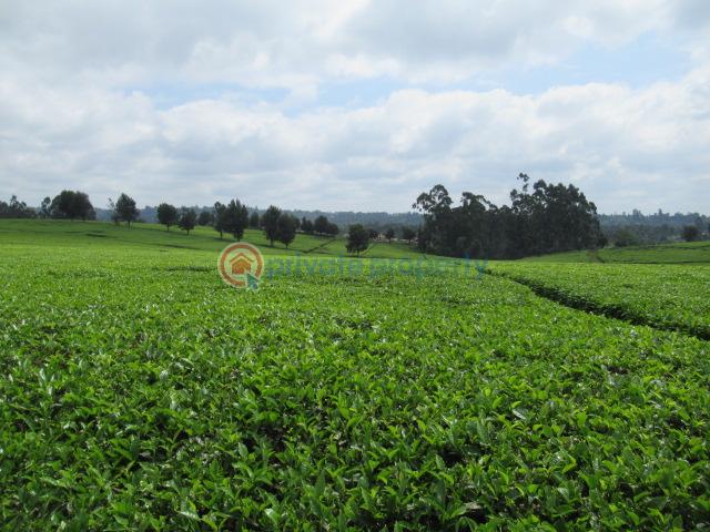 Land For Sale Off Kiambu Rd Cianda Kiambu - 1