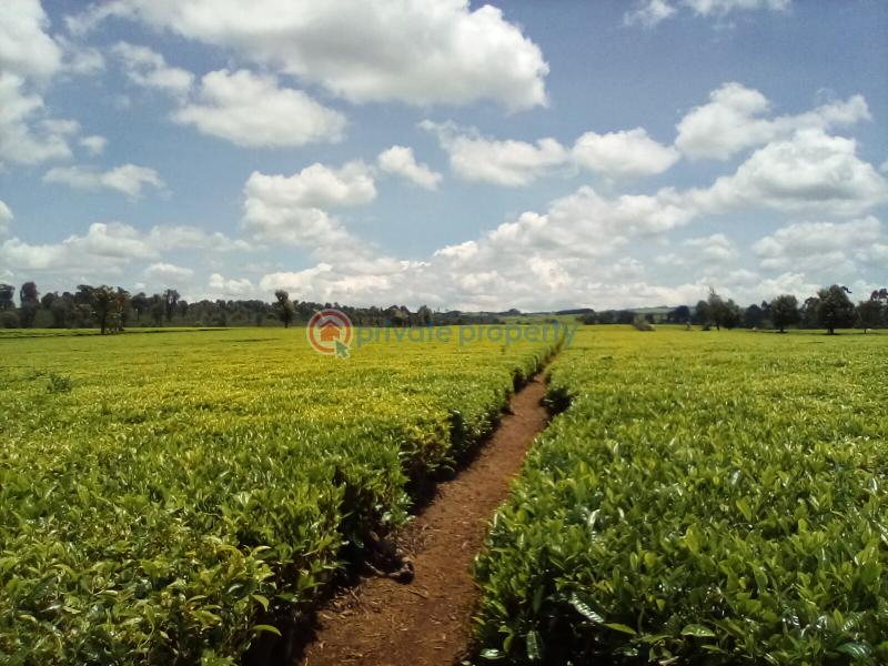 Land For Sale Off Kiambu Rd Cianda Kiambu - 15