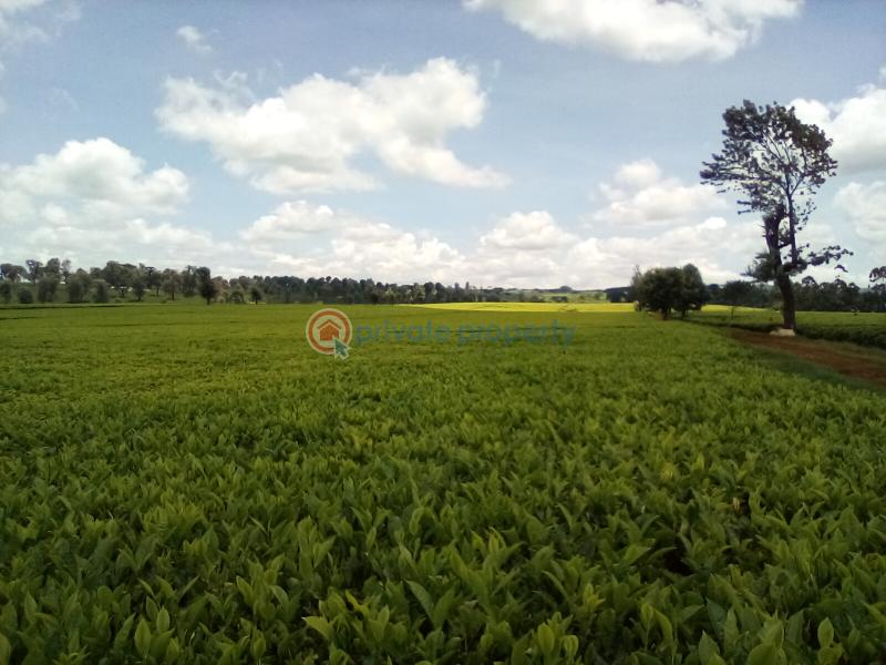 Land For Sale Off Kiambu Rd Cianda Kiambu - 5