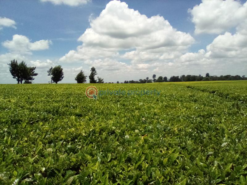 Land For Sale Off Kiambu Rd Cianda Kiambu - 17