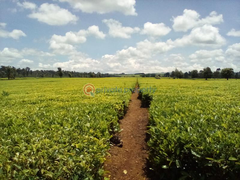 Land For Sale Off Kiambu Rd Cianda Kiambu - 10