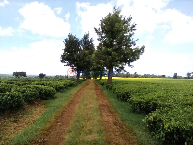 Land For Sale Off Kiambu Rd Cianda Kiambu - 9