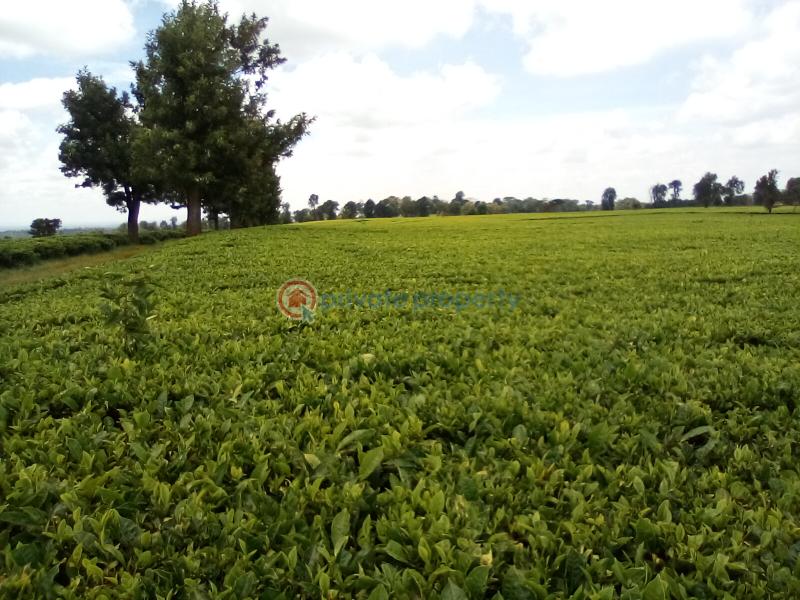 Land For Sale Off Kiambu Rd Cianda Kiambu - 8