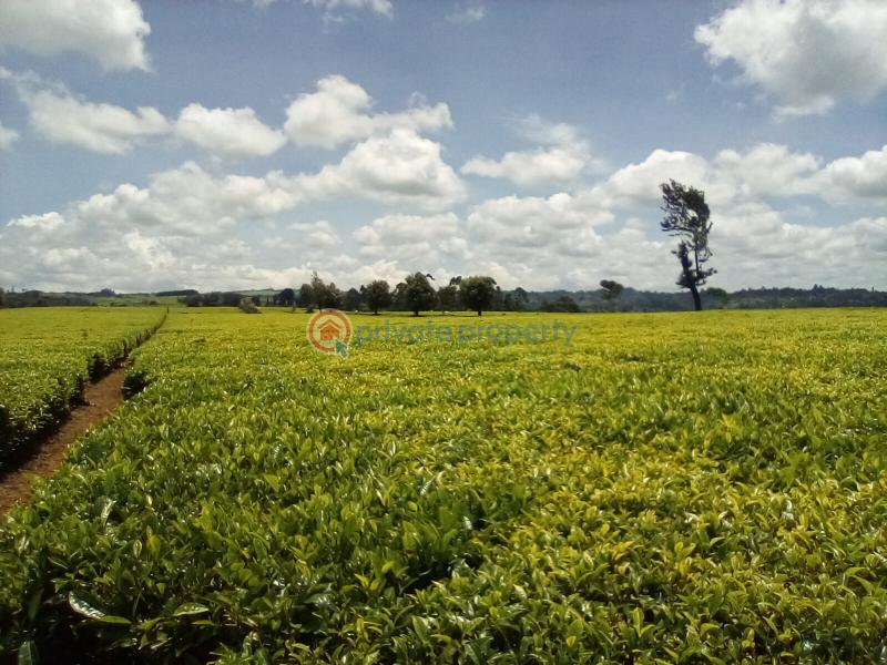 Land For Sale Off Kiambu Rd Cianda Kiambu - 14