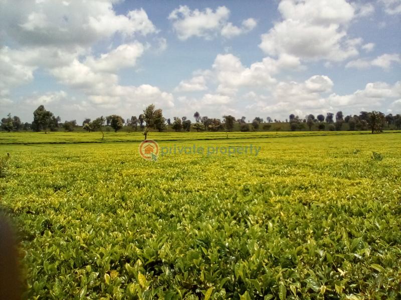 Land For Sale Off Kiambu Rd Cianda Kiambu - 16