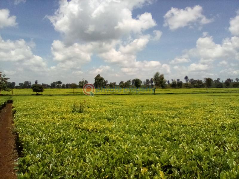 Land For Sale Off Kiambu Rd Cianda Kiambu - 12