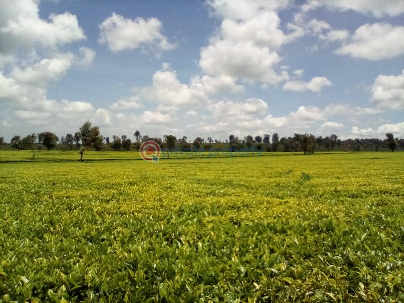 Land For Sale Off Kiambu Rd Cianda Kiambu - 11
