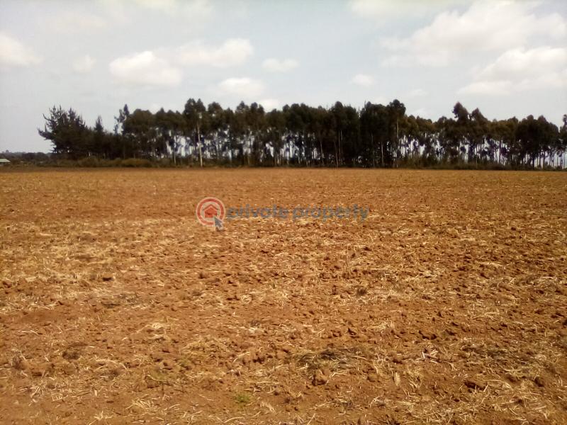 Land For Sale Timau Meru - 8