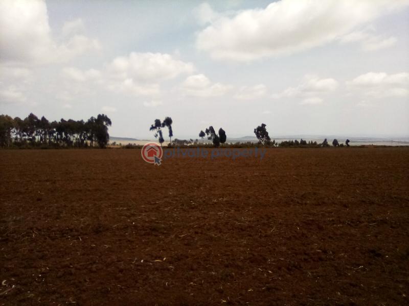 Land For Sale Timau Meru - 15