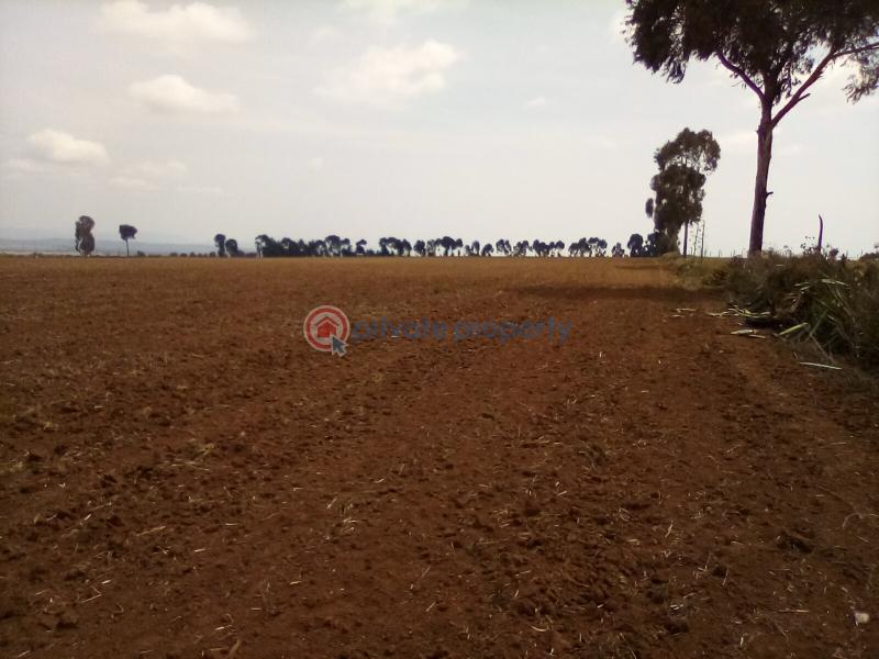 Land For Sale Timau Meru - 13