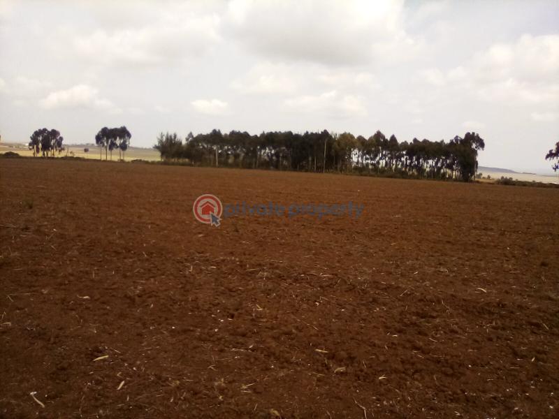 Land For Sale Timau Meru - 18