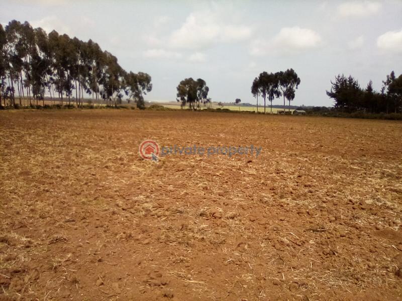 Land For Sale Timau Meru - 11