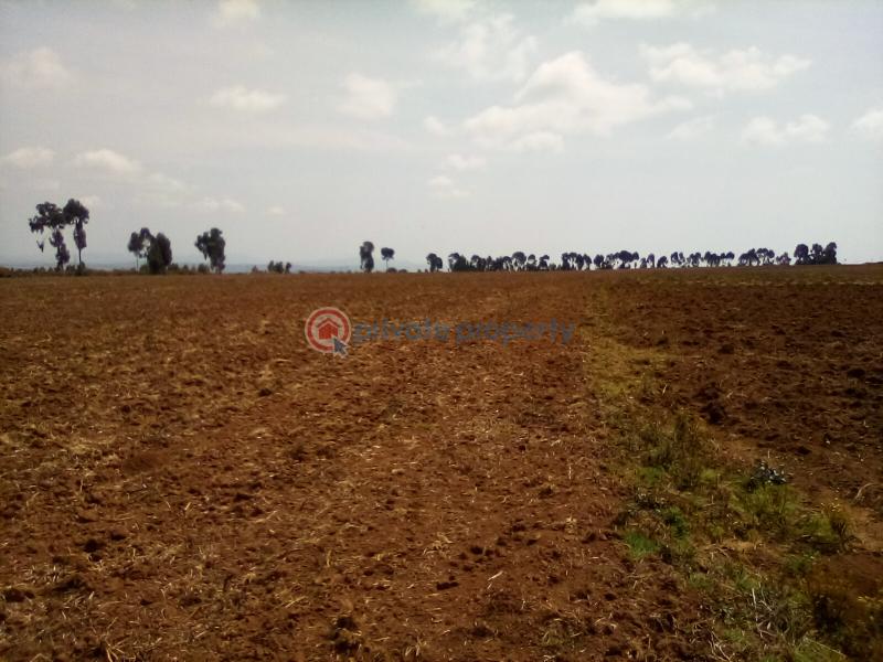 Land For Sale Timau Meru - 4