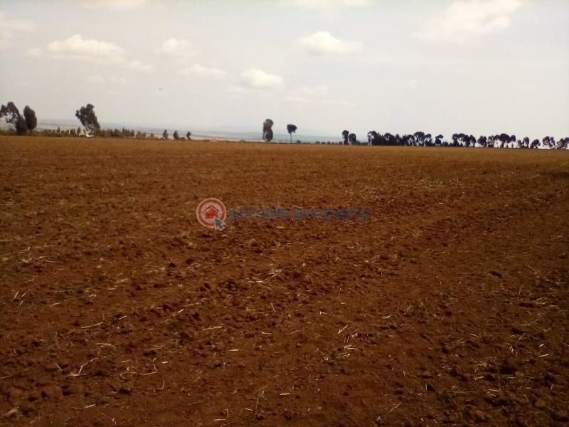 Land For Sale Timau Meru - 14