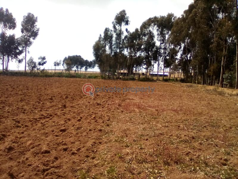 Land For Sale Timau Meru - 6