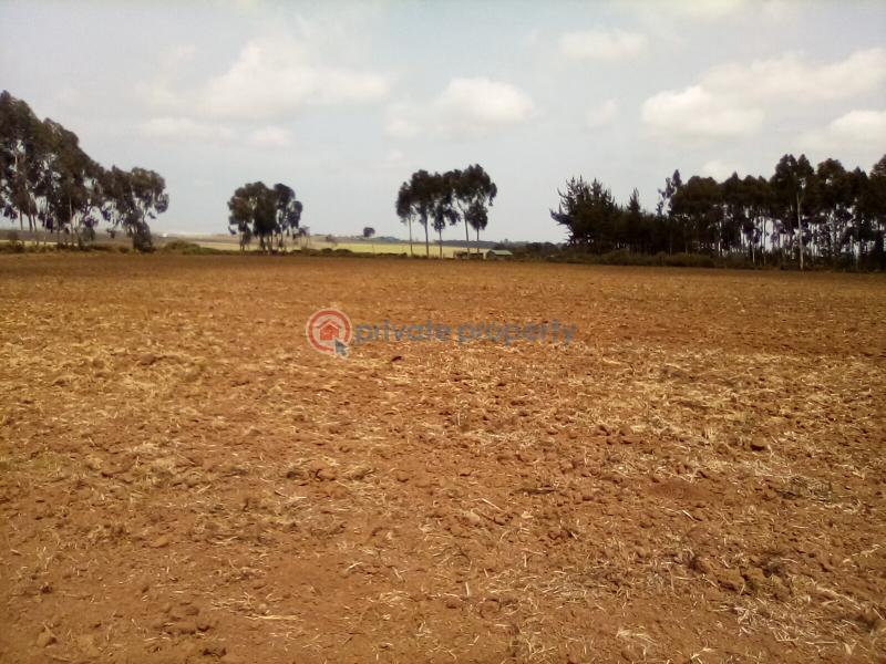 Land For Sale Timau Meru - 12