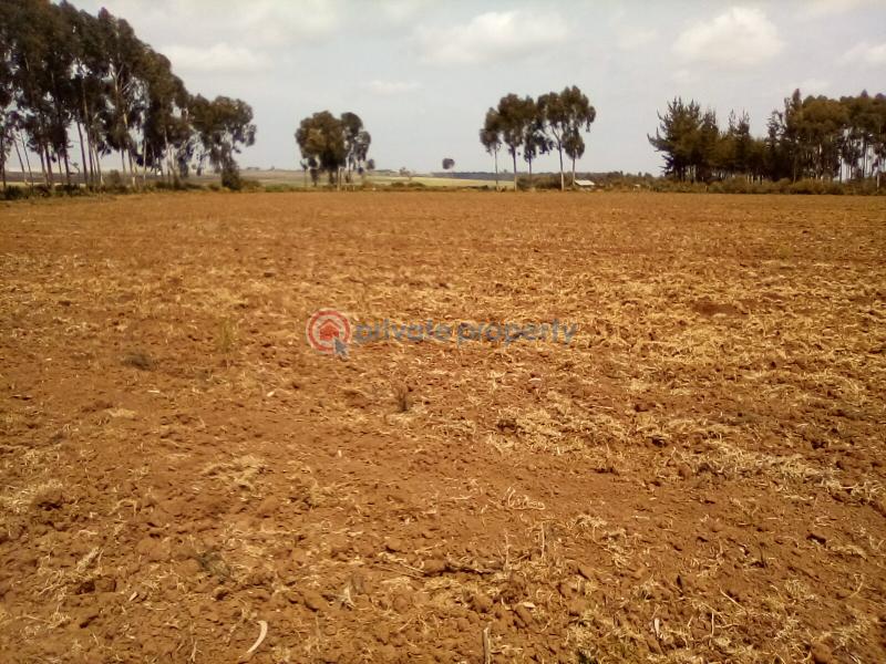 Land For Sale Timau Meru - 1