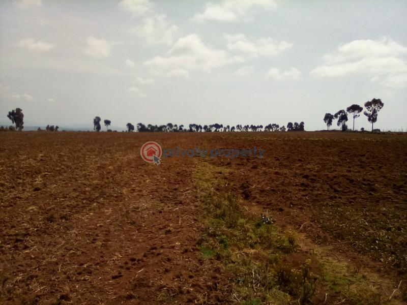 Land For Sale Timau Meru - 3