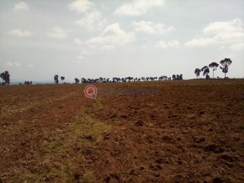 Land For Sale Timau Meru - 7