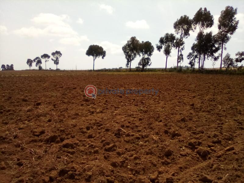 Land For Sale Timau Meru - 10