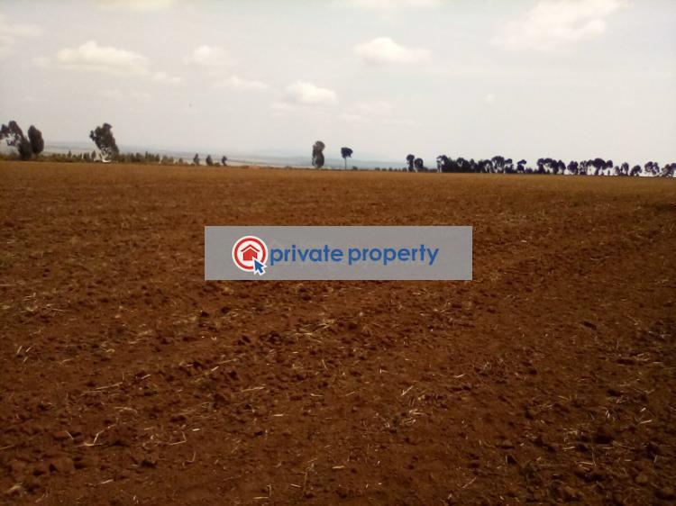 Mixed use Land For Sale &nbsp;timau Timau Meru - 9