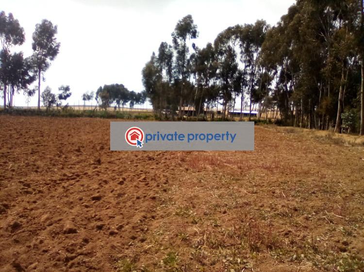Mixed use Land For Sale &nbsp;timau Timau Meru - 4
