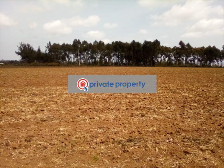 Mixed use Land For Sale &nbsp;timau Timau Meru - 5