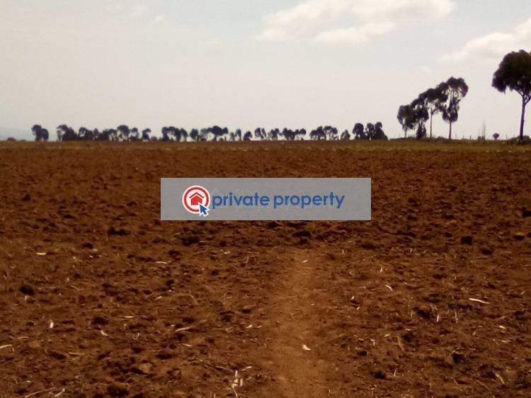 Mixed use Land For Sale &nbsp;timau Timau Meru - 11
