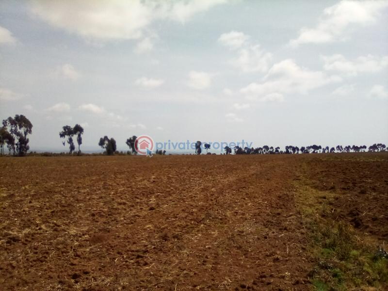 Land For Sale Timau Meru - 2