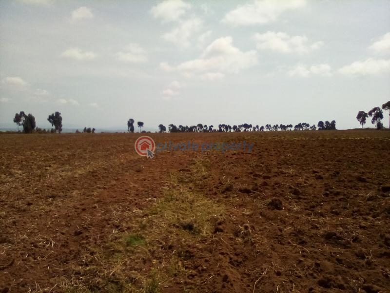 Land For Sale Timau Meru - 9