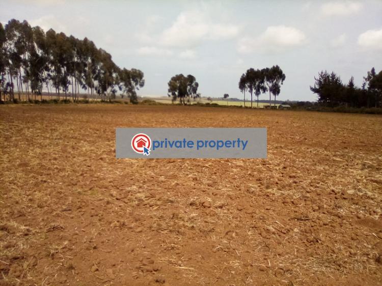 Mixed use Land For Sale &nbsp;timau Timau Meru - 7