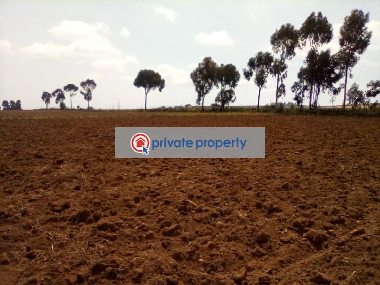 Mixed use Land For Sale &nbsp;timau Timau Meru - 6