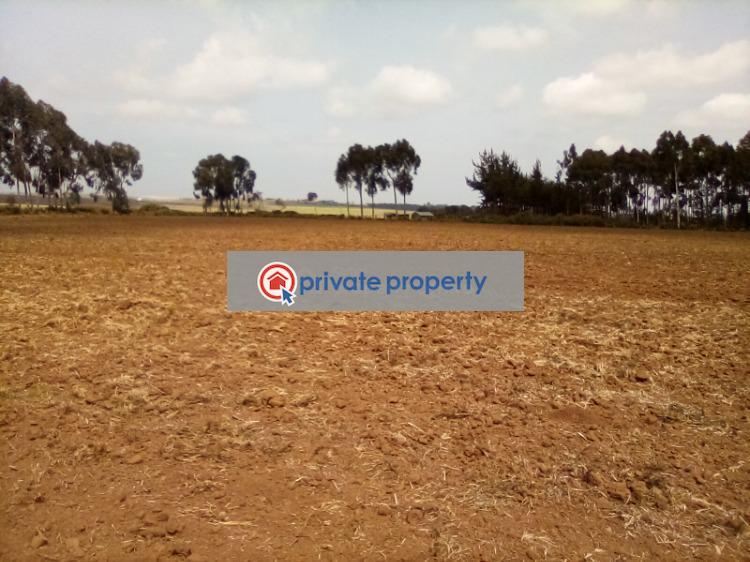 Mixed use Land For Sale &nbsp;timau Timau Meru - 8